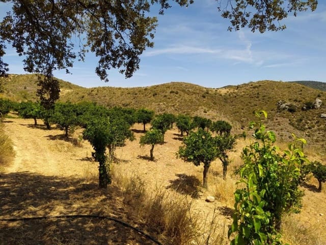 Mark till salu i Ardales - 1 500 000 € (Ref: 9188481)