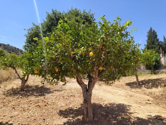 Mark till salu i Ardales - 1 500 000 € (Ref: 9188481)