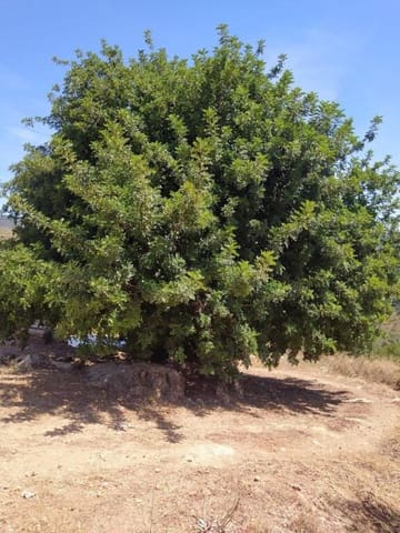 Mark till salu i Ardales - 1 500 000 € (Ref: 9188481)