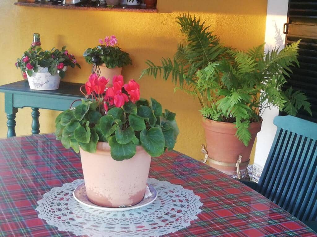 3 soveværelse Villa til salg i Chiclana de la Frontera med swimmingpool garage - € 620.000 (Ref: 9192355)