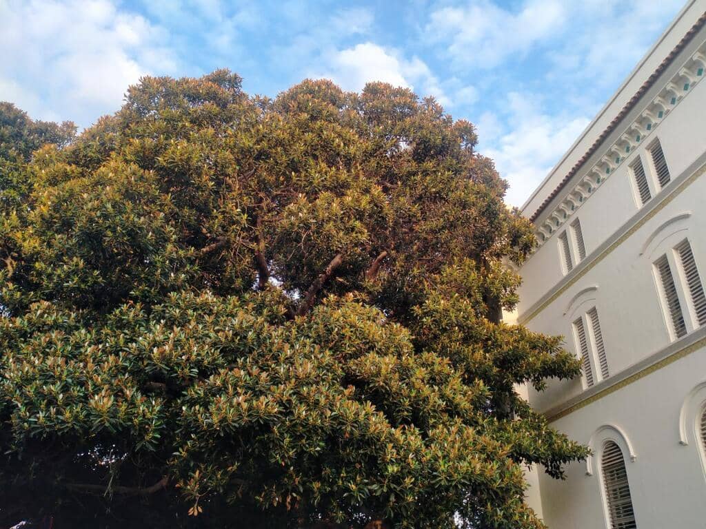 3 soverom Leilighet til salgs i Cadiz by - € 247 000 (Ref: 9193845)