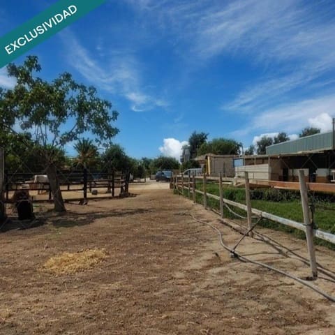 4 soveværelse Finca/Landehus til salg i Dos Hermanas med swimmingpool garage - € 880.000 (Ref: 9197756)