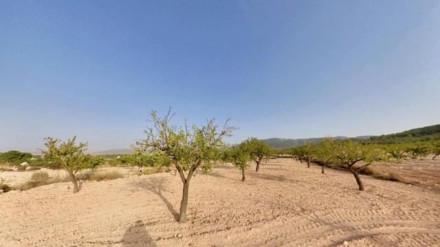 Teren niezagospodarowany na sprzedaż w Monóvar / Monóver - 70 000 € (Ref: 9200494)