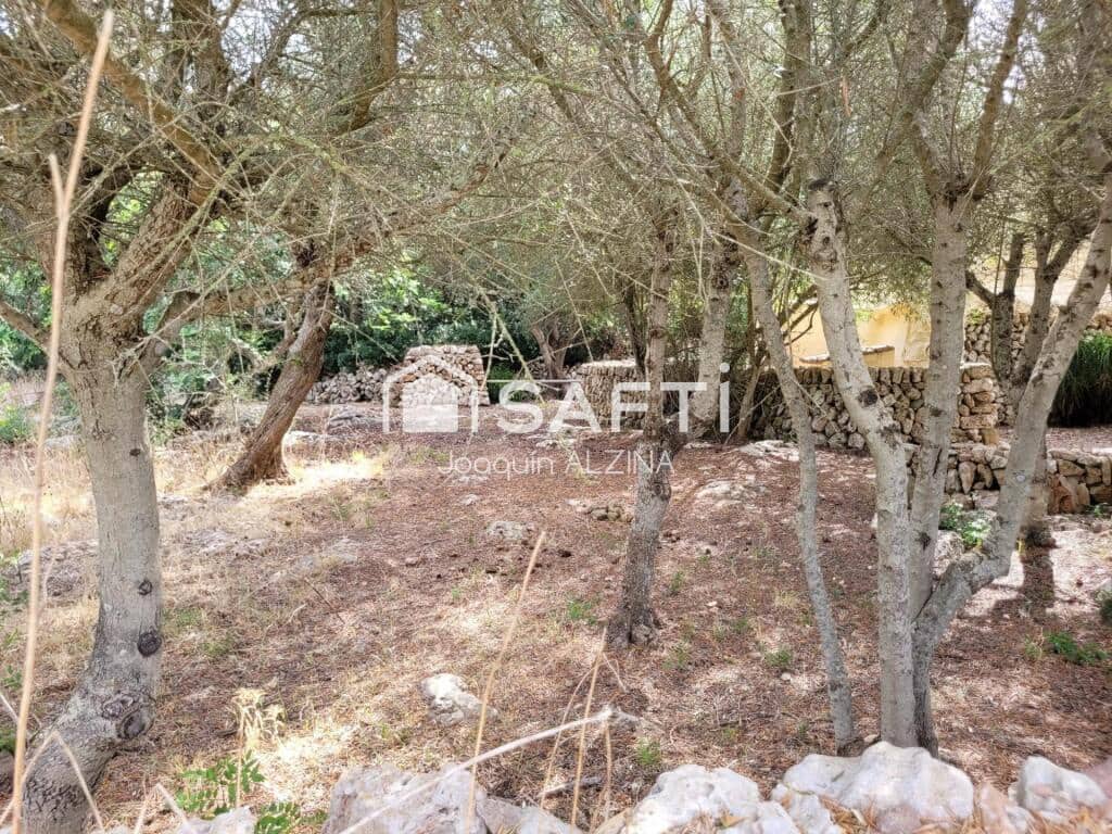 4 slaapkamer Finca/Landhuis te koop in Es Castell met garage - € 1.200.000 (Ref: 9202455)