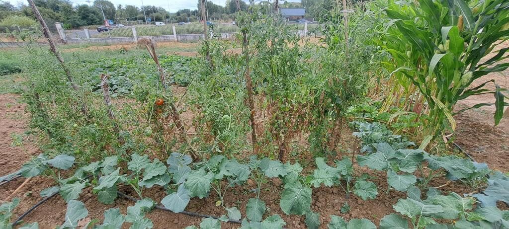 7 quarto Moradia para venda em San Andres de Montejos - 395 000 € (Ref: 9215076)