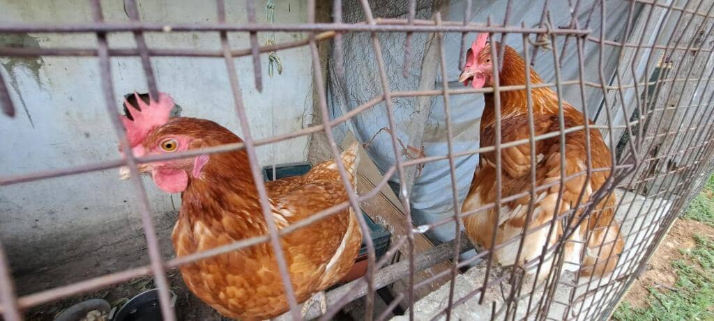 7 quarto Moradia para venda em San Andres de Montejos - 395 000 € (Ref: 9215076)