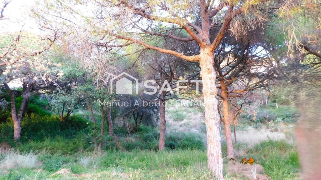 Tomt till salu i Mataro - 465 000 € (Ref: 9226507)