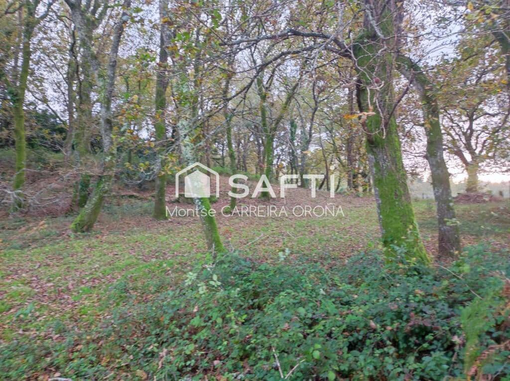 Terre non Aménagée à vendre à A Estrada - 75 000 € (Ref: 9232593)