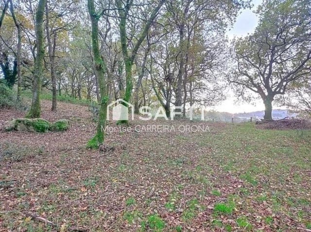 Terre non Aménagée à vendre à A Estrada - 75 000 € (Ref: 9232593)