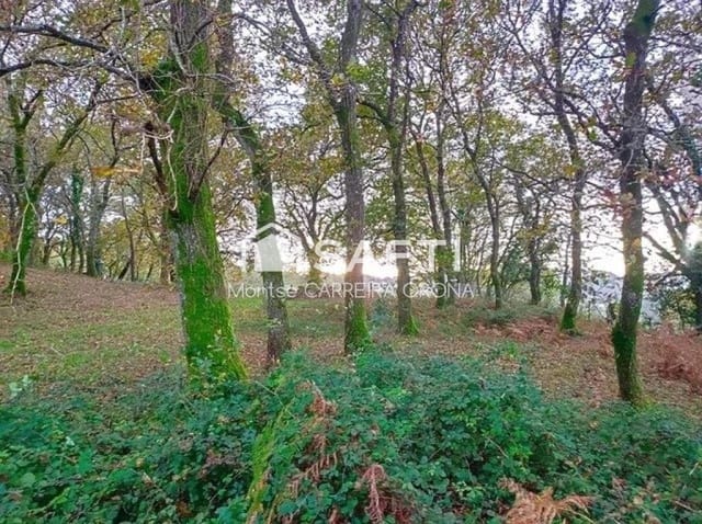 Terre non Aménagée à vendre à A Estrada - 75 000 € (Ref: 9232593)