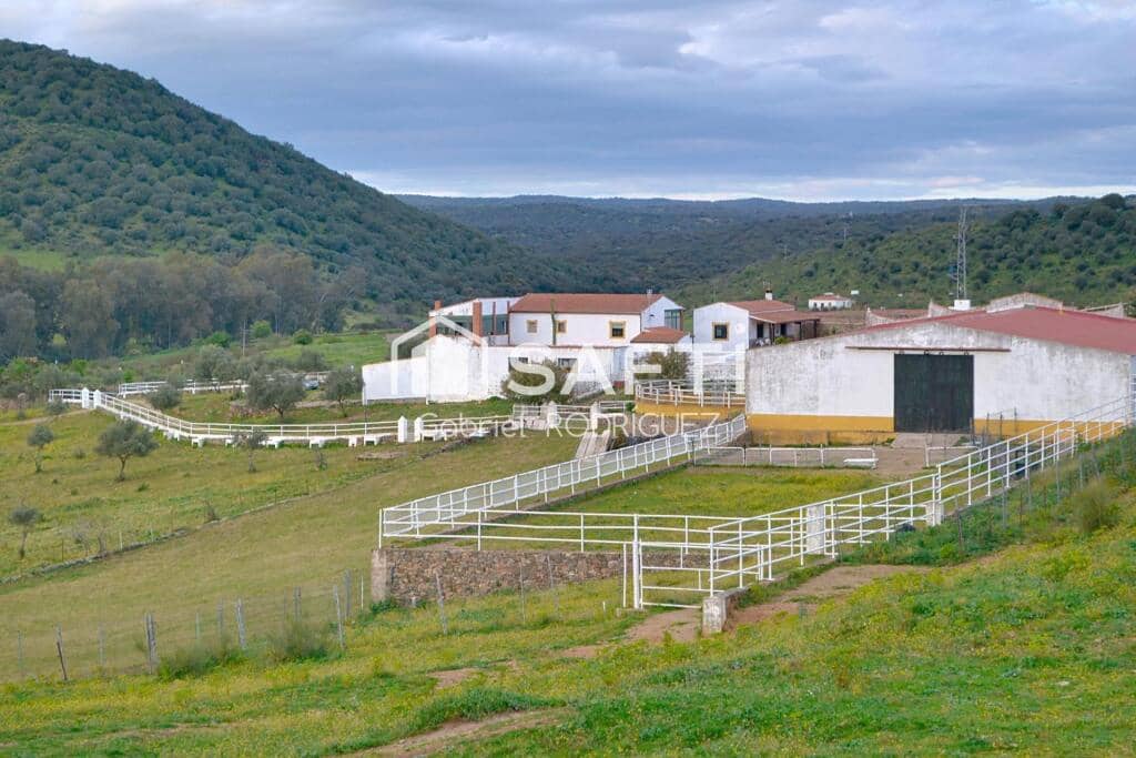 Mark till salu i Higuera de Vargas - 1 950 000 € (Ref: 9236466)