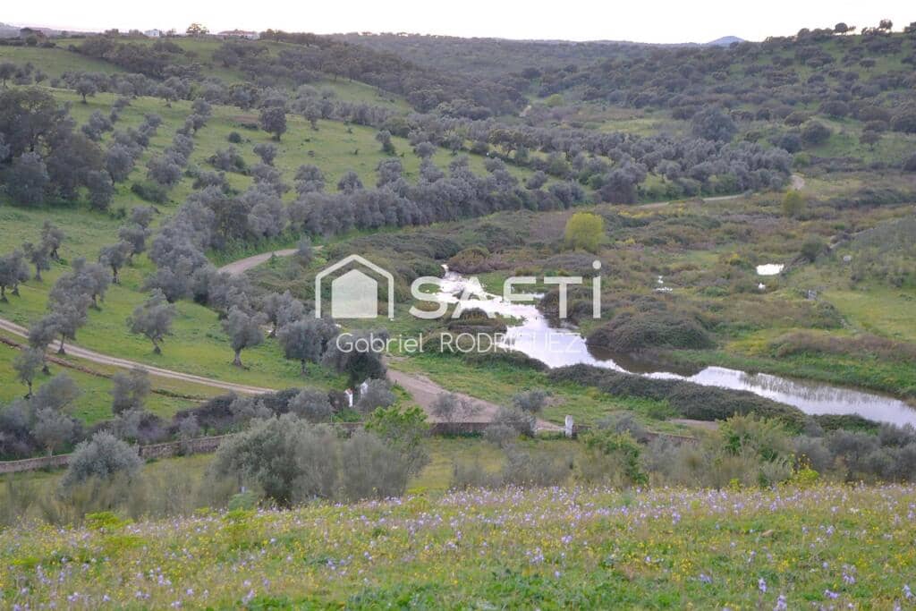 Mark till salu i Higuera de Vargas - 1 950 000 € (Ref: 9236466)