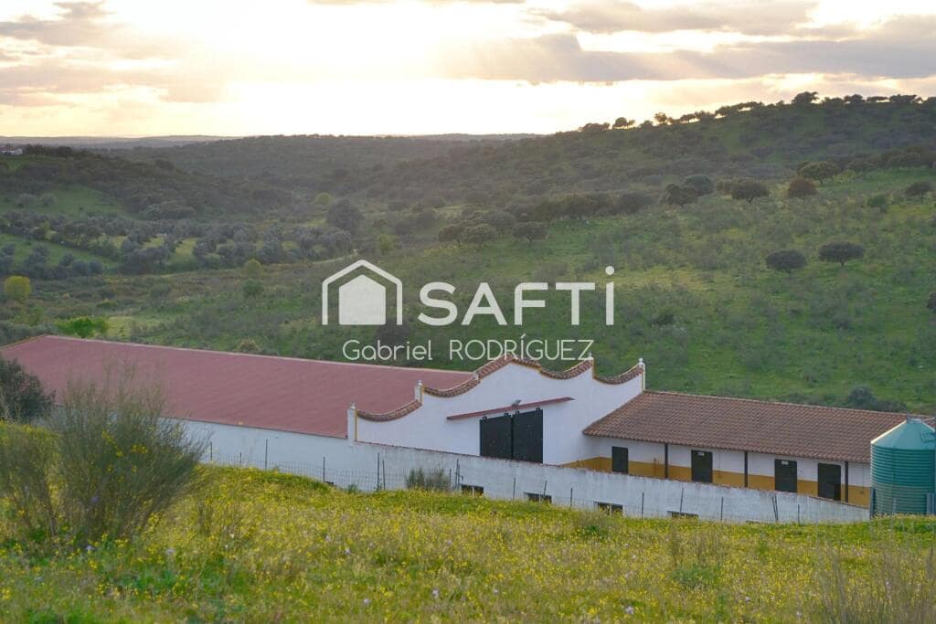 Mark till salu i Higuera de Vargas - 1 950 000 € (Ref: 9236466)