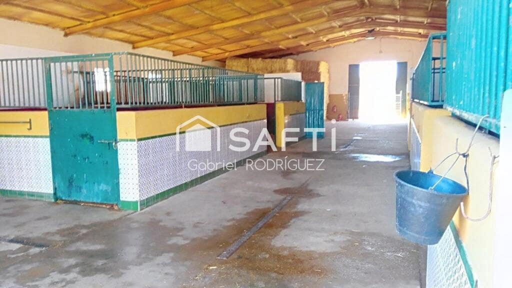 Mark till salu i Higuera de Vargas - 1 950 000 € (Ref: 9236466)