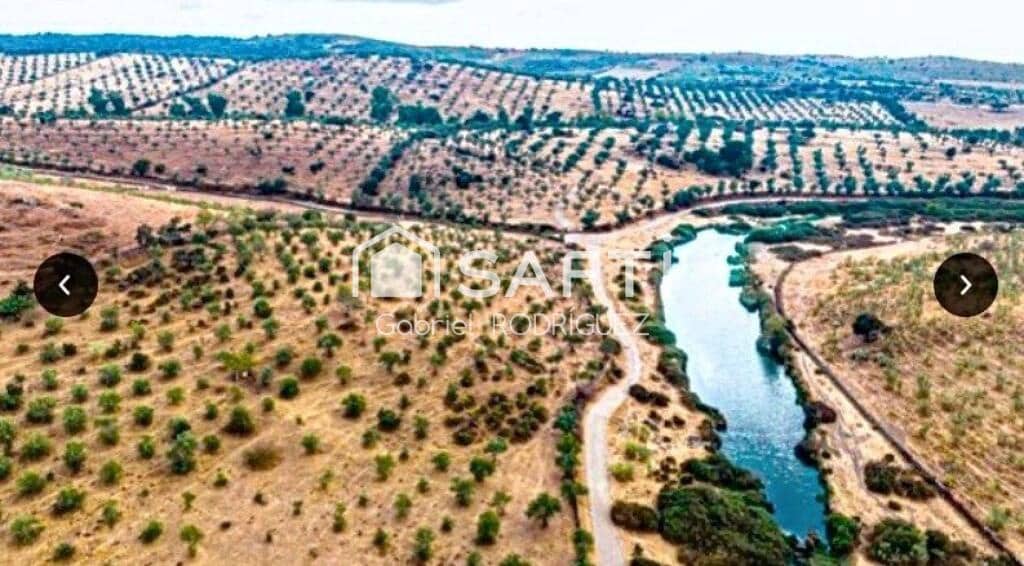 Mark till salu i Higuera de Vargas - 1 950 000 € (Ref: 9236466)