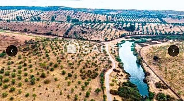 Mark till salu i Higuera de Vargas - 1 950 000 € (Ref: 9236466)