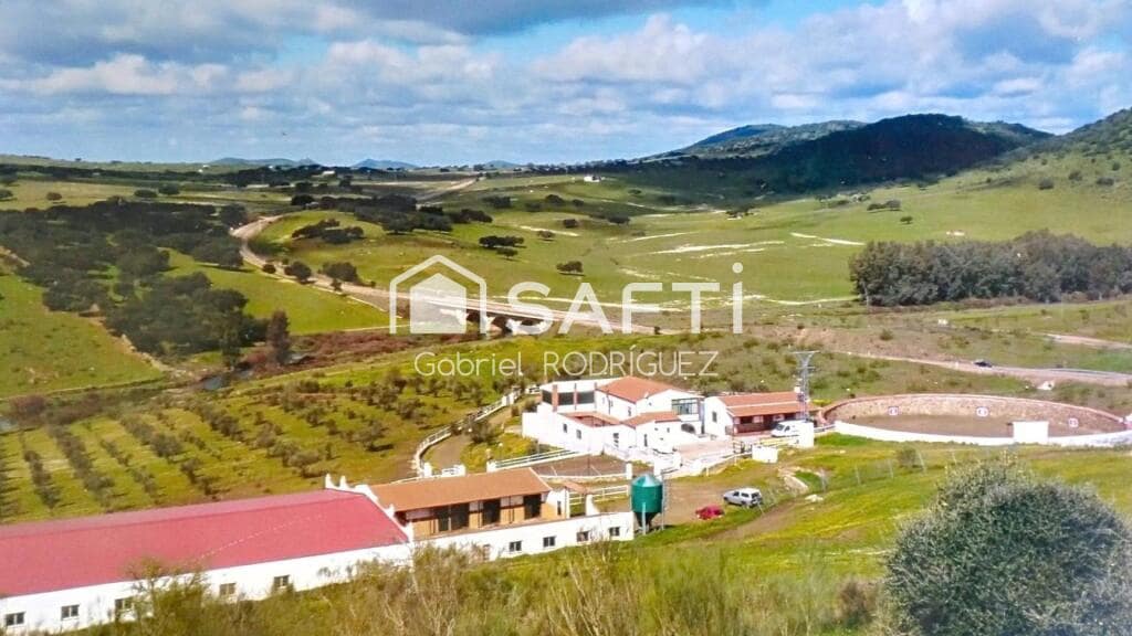 Mark till salu i Higuera de Vargas - 1 950 000 € (Ref: 9236466)