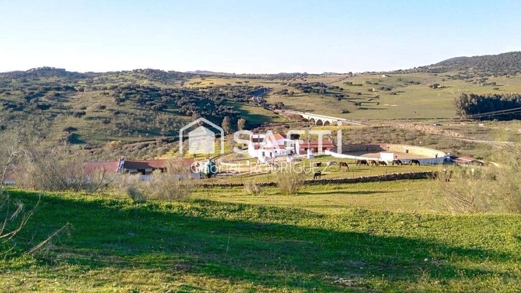 Mark till salu i Higuera de Vargas - 1 950 000 € (Ref: 9236466)