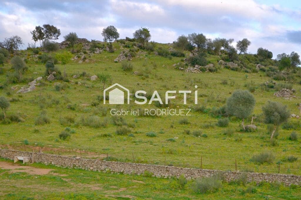 Mark till salu i Higuera de Vargas - 1 950 000 € (Ref: 9236466)