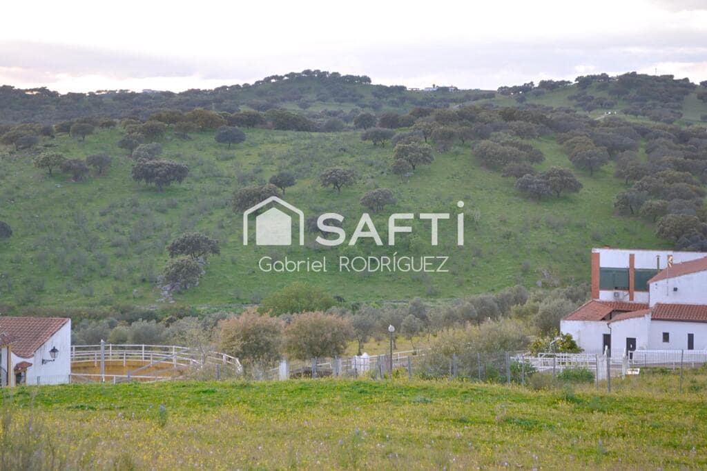 Mark till salu i Higuera de Vargas - 1 950 000 € (Ref: 9236466)