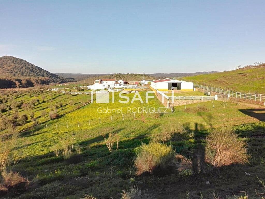 Mark till salu i Higuera de Vargas - 1 950 000 € (Ref: 9236466)