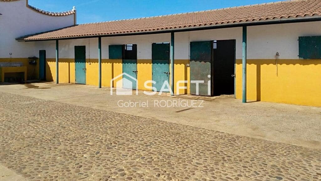 Mark till salu i Higuera de Vargas - 1 950 000 € (Ref: 9236466)