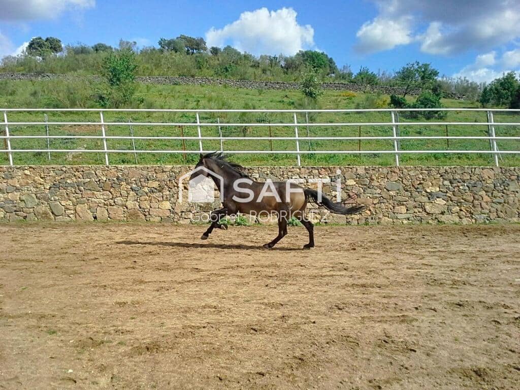 Mark till salu i Higuera de Vargas - 1 950 000 € (Ref: 9236466)