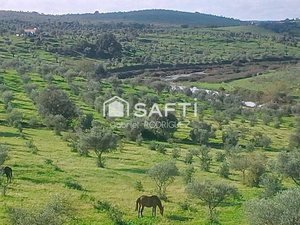 Mark till salu i Higuera de Vargas - 1 950 000 € (Ref: 9236466)