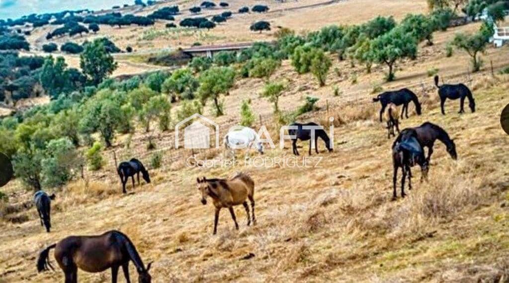 Mark till salu i Higuera de Vargas - 1 950 000 € (Ref: 9236466)