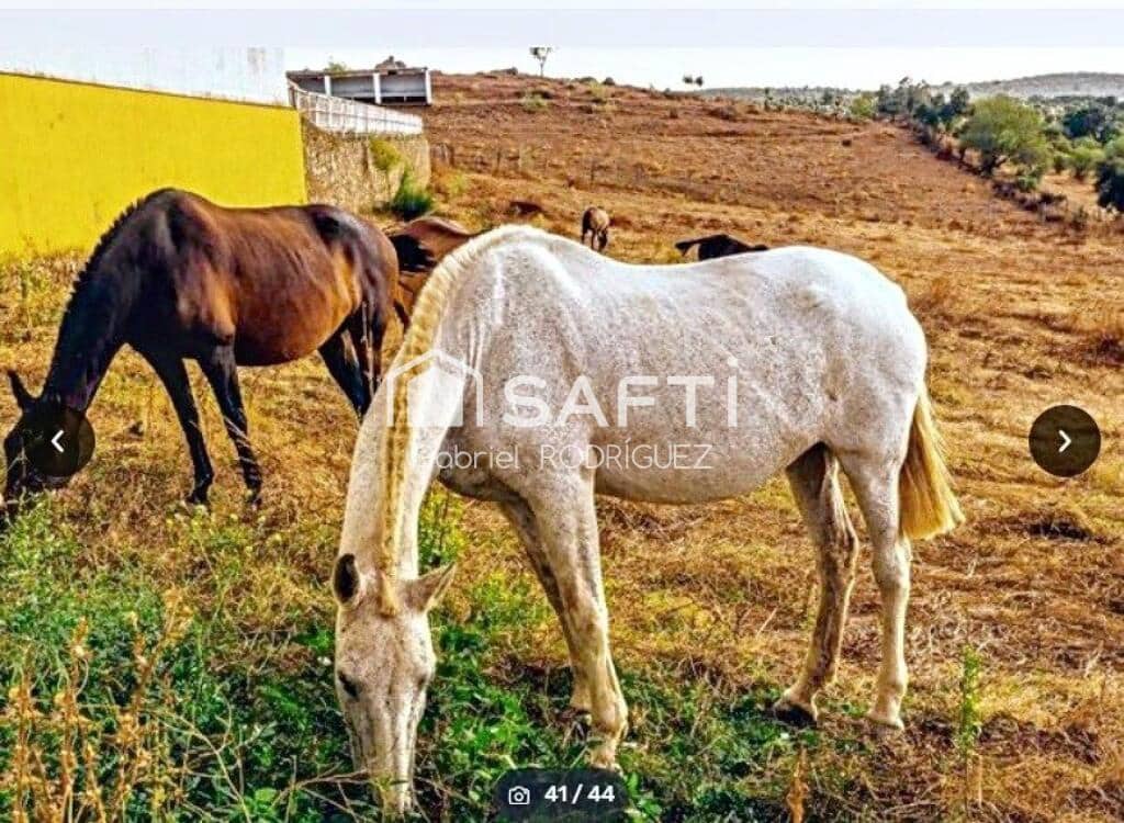 Mark till salu i Higuera de Vargas - 1 950 000 € (Ref: 9236466)