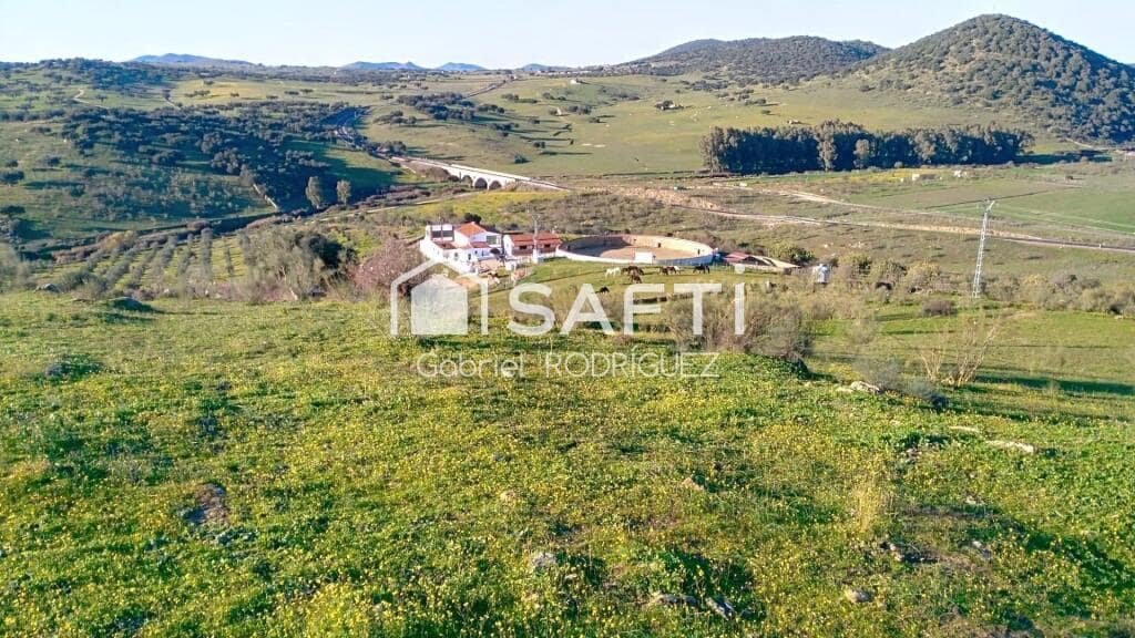 Mark till salu i Higuera de Vargas - 1 950 000 € (Ref: 9236466)