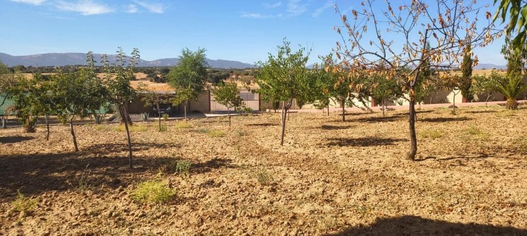 1 soveværelse Finca/Landehus til salg i Pulgar - € 320.000 (Ref: 9239985)