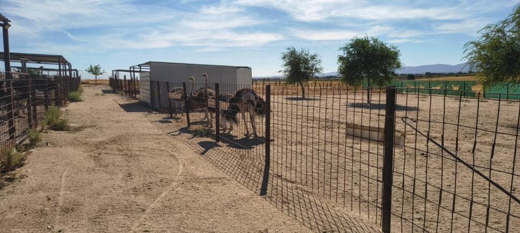 1 soveværelse Finca/Landehus til salg i Pulgar - € 320.000 (Ref: 9239985)