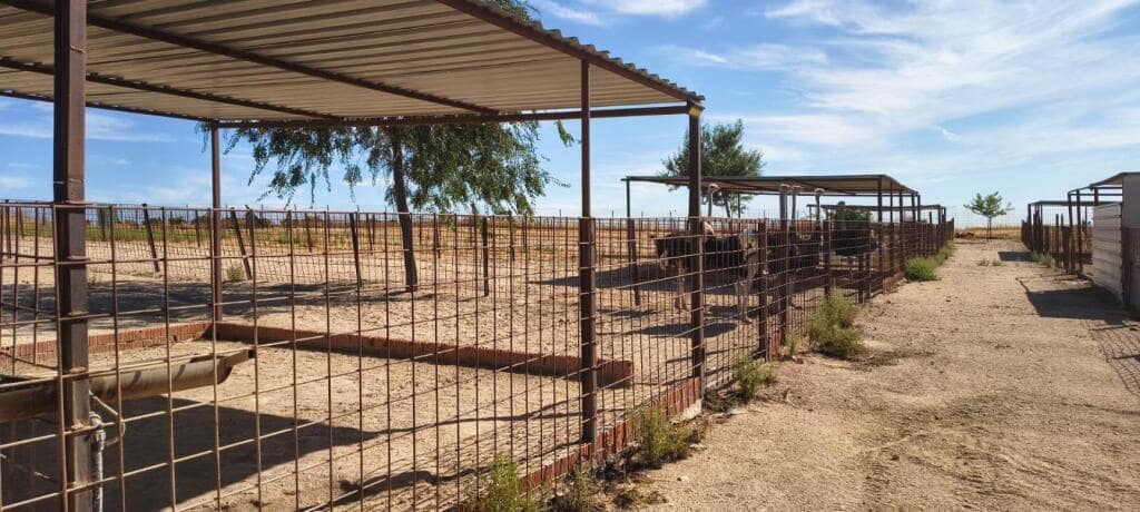 1 soveværelse Finca/Landehus til salg i Pulgar - € 320.000 (Ref: 9239985)