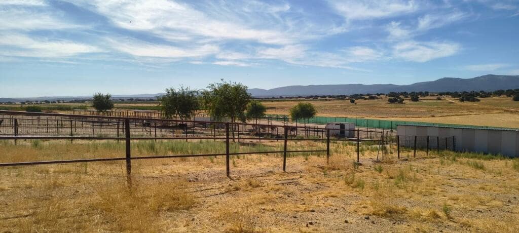 1 soveværelse Finca/Landehus til salg i Pulgar - € 320.000 (Ref: 9239985)