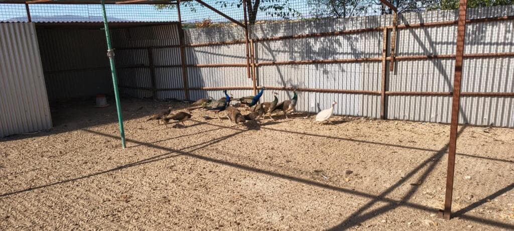 1 soveværelse Finca/Landehus til salg i Pulgar - € 320.000 (Ref: 9239985)