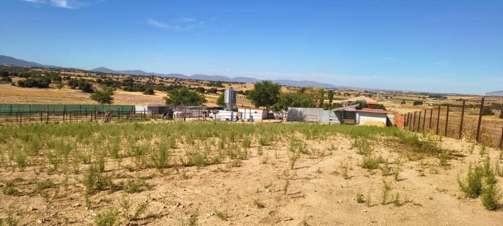 1 soveværelse Finca/Landehus til salg i Pulgar - € 320.000 (Ref: 9239985)