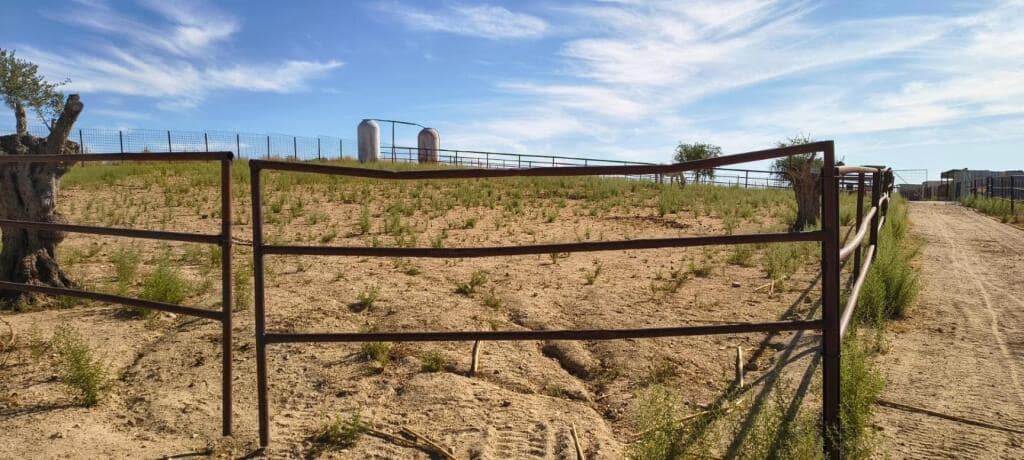 1 soveværelse Finca/Landehus til salg i Pulgar - € 320.000 (Ref: 9239985)