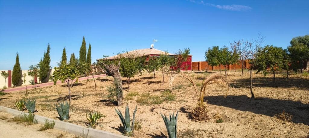 1 soveværelse Finca/Landehus til salg i Pulgar - € 320.000 (Ref: 9239985)