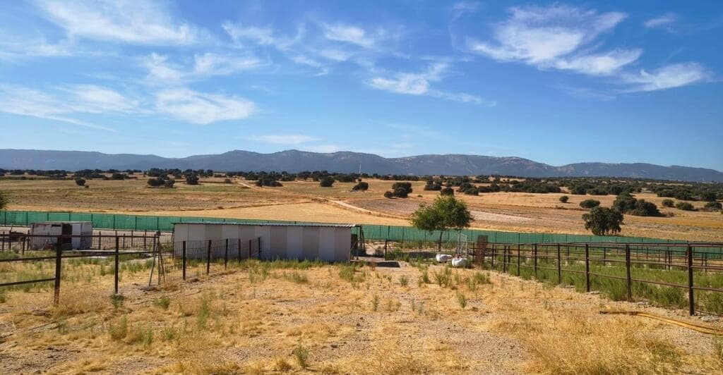 1 soveværelse Finca/Landehus til salg i Pulgar - € 320.000 (Ref: 9239985)