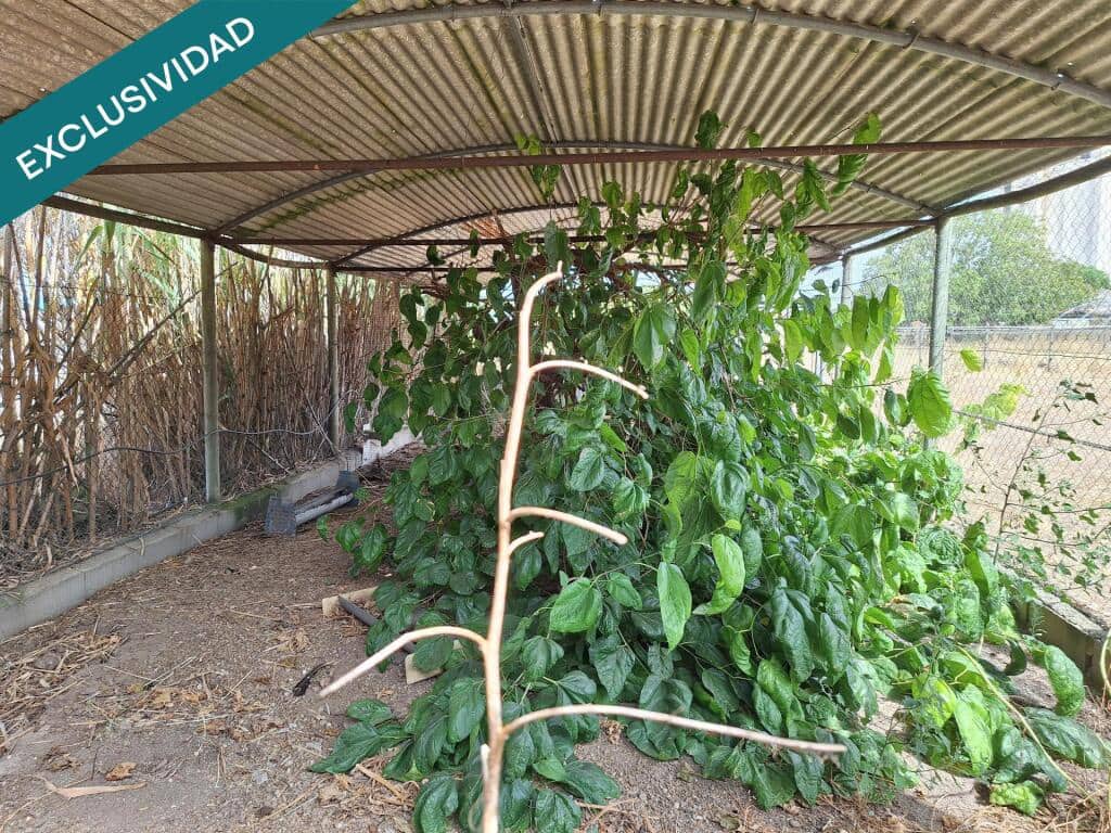 3 soveværelse Finca/Landehus til salg i Penaranda de Bracamonte med garage - € 402.300 (Ref: 9247042)