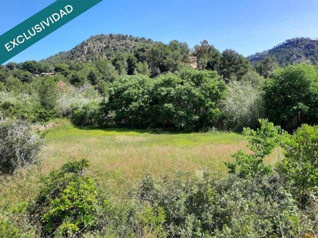 Terreno Non Edificato in vendita in Olocau - 12.500 € (Rif: 9252024)