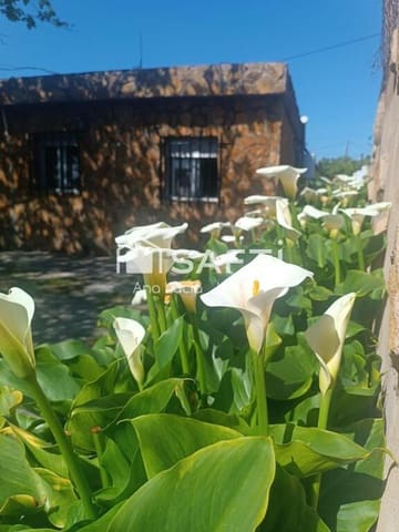 2 sypialnia Finka/Dom wiejski na sprzedaż w El Grau de Castelló, Castelló de la Plana z basenem - 127 000 € (Ref: 9252027)