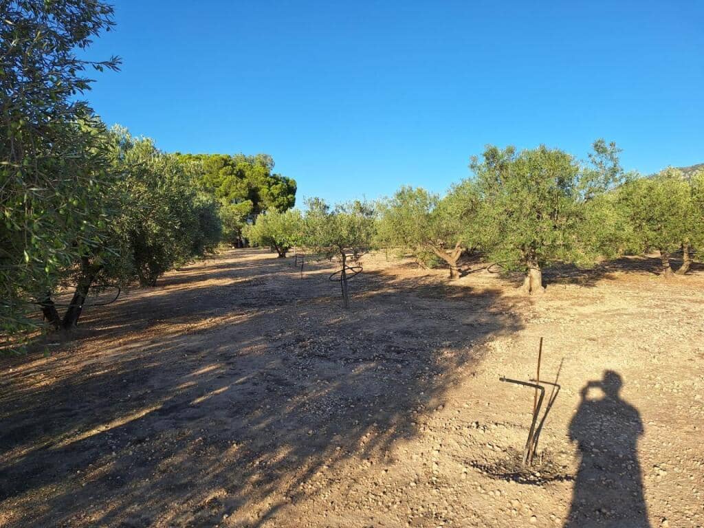 8 sypialnia Finka/Dom wiejski na sprzedaż w Villena z basenem garażem - 210 000 € (Ref: 9255040)