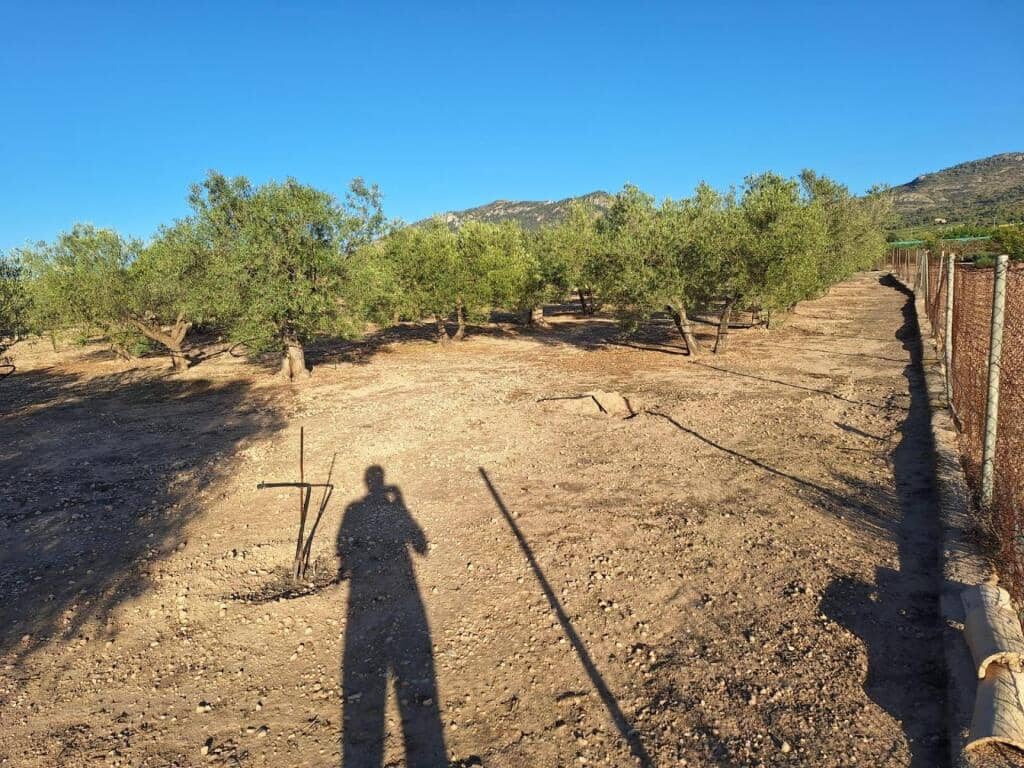 8 sypialnia Finka/Dom wiejski na sprzedaż w Villena z basenem garażem - 210 000 € (Ref: 9255040)