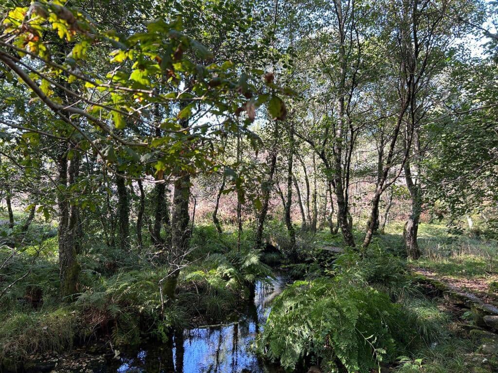 4 slaapkamer Finca/Landhuis te koop in Mondariz met garage - € 385.000 (Ref: 9255046)