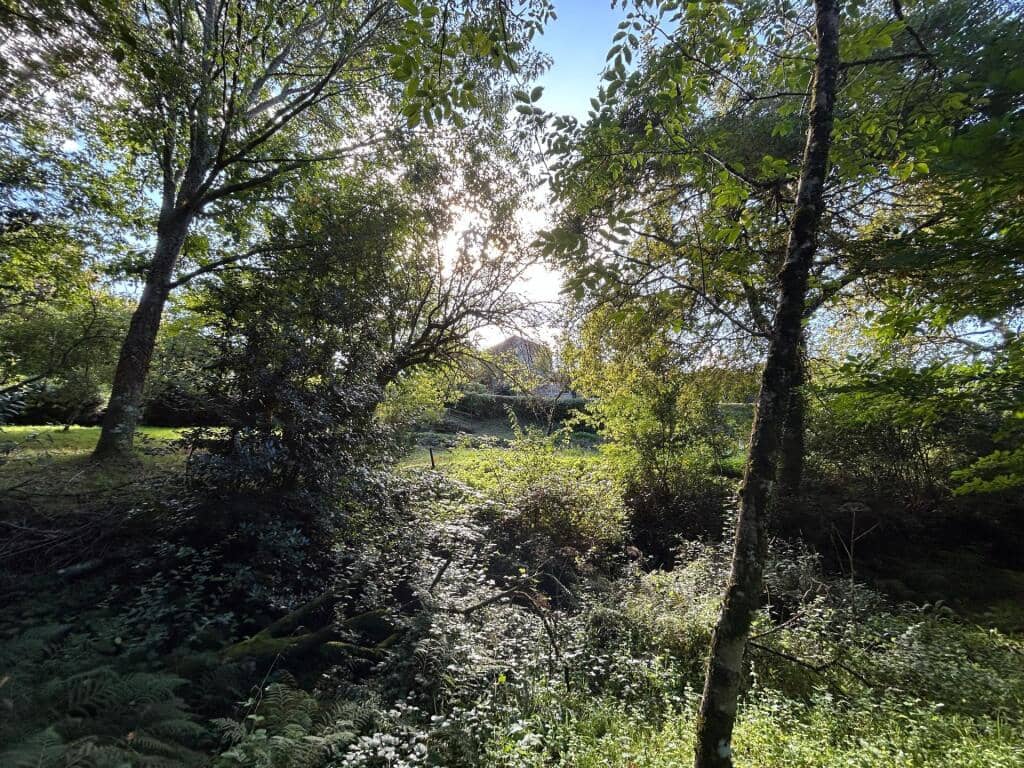 4 slaapkamer Finca/Landhuis te koop in Mondariz met garage - € 385.000 (Ref: 9255046)