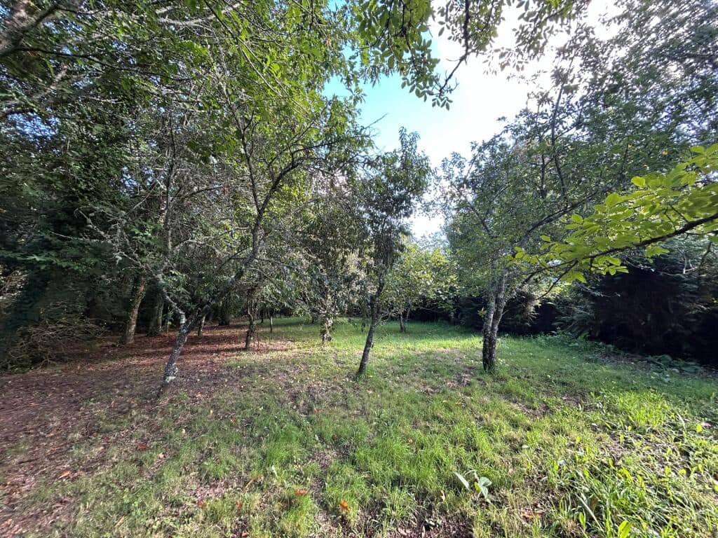 4 slaapkamer Finca/Landhuis te koop in Mondariz met garage - € 385.000 (Ref: 9255046)