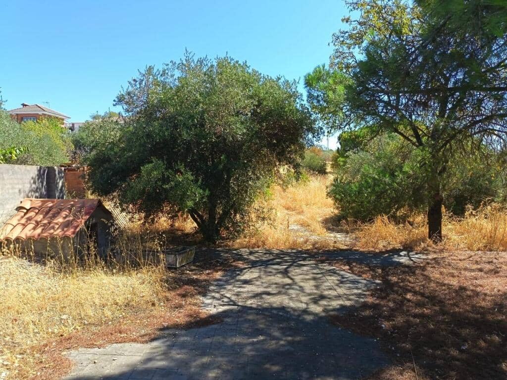 4 soverom Villa til salgs i Albarreal de Tajo - € 149 000 (Ref: 9262474)