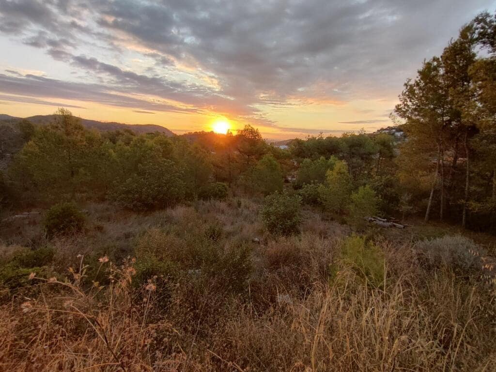 Byggegrund til salg i Gilet - € 75.000 (Ref: 9262475)